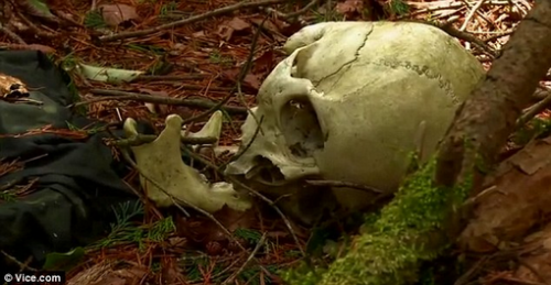 suicide forest in Japan is one of the creepiest places on earth.