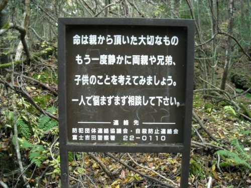 suicide forest in Japan is one of the creepiest places on earth.