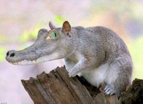 Bizarre pictures you wouldn't believe aren't Photoshopped.