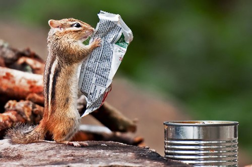 Funny optical illusions captured at just the right time