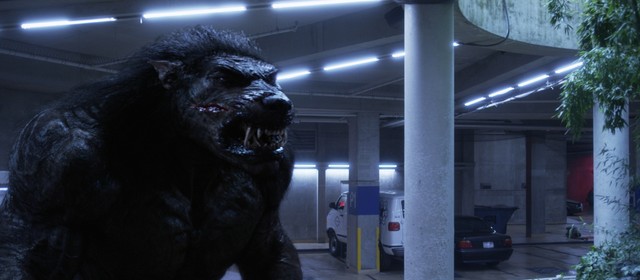 Werewolves and vampires could they be real?