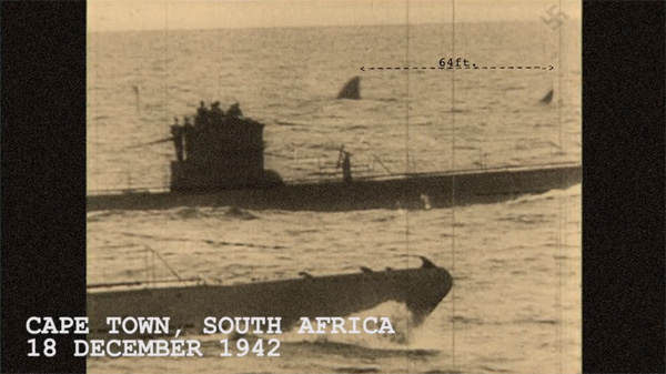 megalodon lives