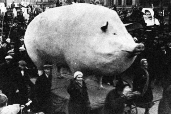 weird pictures 002