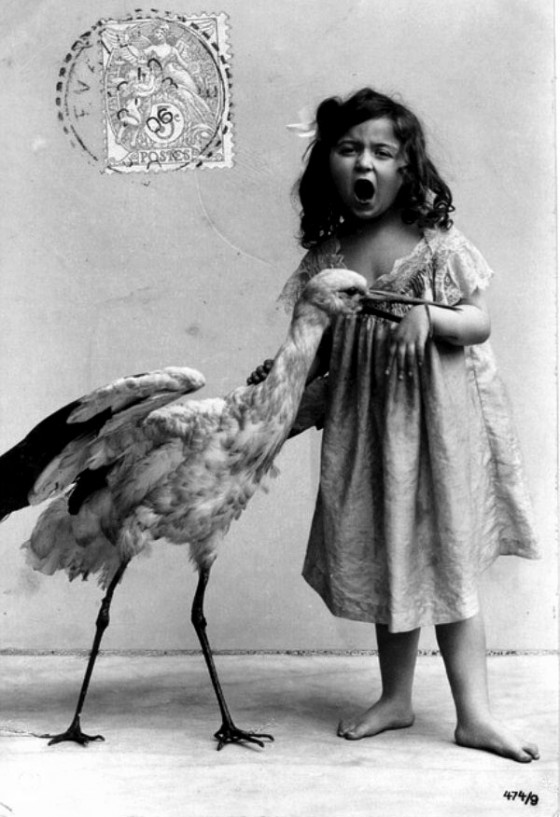 weird pictures 004