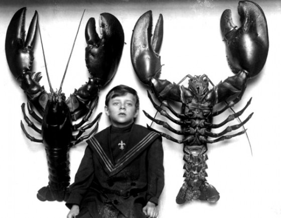 weird pictures 007